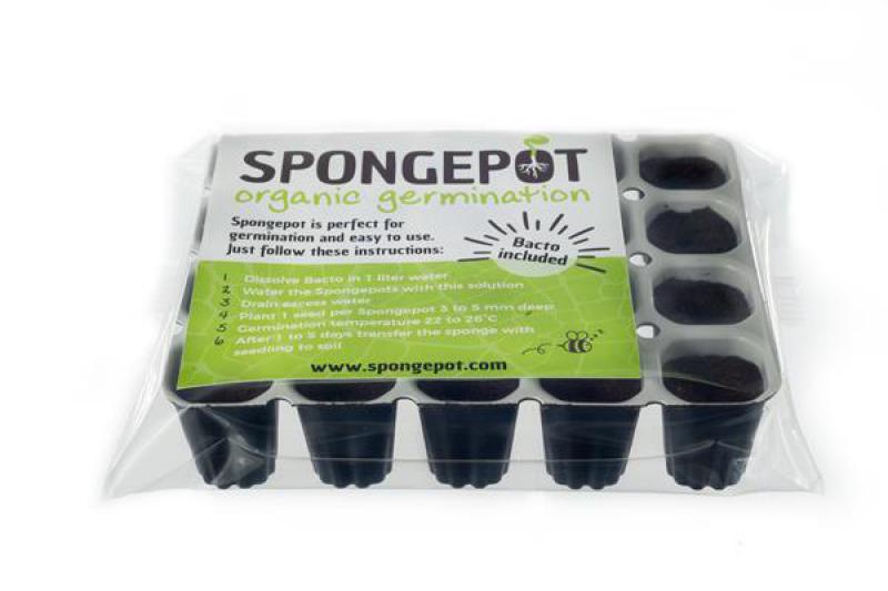12938 - Spongepot - Keimtasse für 20 Samen